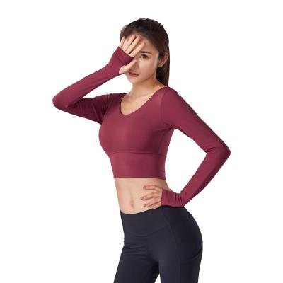 China Breathable Long Sleeve Cross Back Cross and Back Workout Gear Yoga Tops Women Fitness Bra Women Fitness Yoga Top Spandex Plus Size for sale