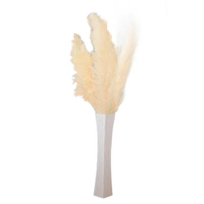 China 2022 Flower pampas grass dry natural hay to boho dry good quality home decorative vase filler 100cm pampas for sale