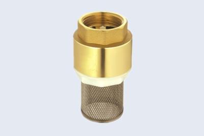 China Brass Spring Check Valve With Filter Brass Fittings PN16 / 232Psi for sale