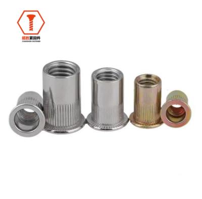 China Heavy Industry For Furniture Countersunk Flat Head Knurled DIN Nuts ISO GB BS Riveted Carbon Steel Stainless Steel for sale