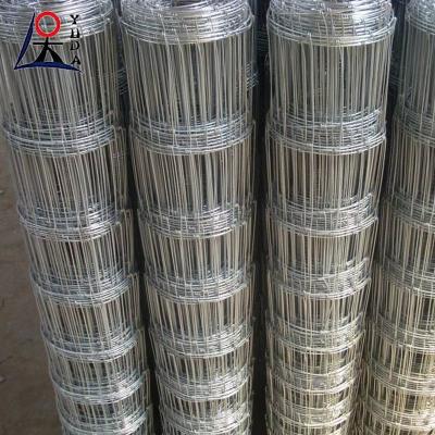 Κίνα Poultry Galvanized Iron Wire Mesh Hinge Joint Field Goat Horse Field Fence προς πώληση