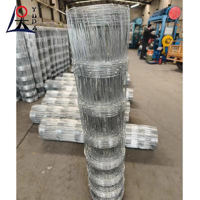 China Cerco de campo de ganado de hierro de malla de alambre galvanizado en venta