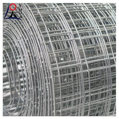 China Gegalvaniseerd / PVC-gecoat / roestvrij staal gelast gaas hek Te koop