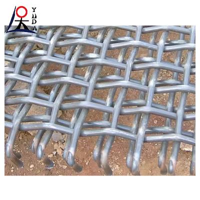 China Vibrating Screen Double Woven Crimped Wire Mesh Lock Crimp Wire Mesh for sale