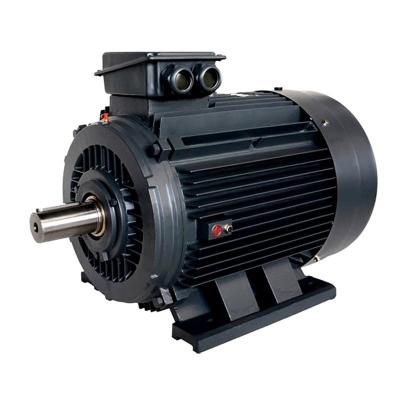 China YE2-200LA-2-45KW three-phase asynchronous motor YE2-200LA-2-45KW for sale