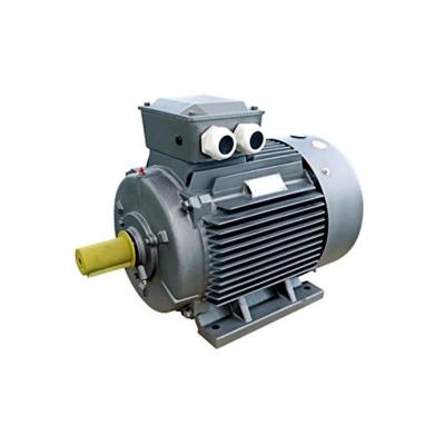 China ELECTRIC AC Motor Pump 3500 RPM AC Motor YE2 YE2-250M for sale