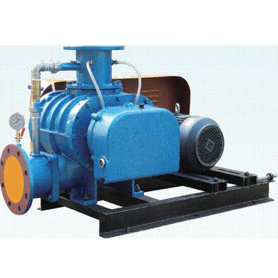 China Fish and Shrimp Farms Aeration Roots Blower for Paper Mill Roots Vacuum Pump with Air Filter for sale