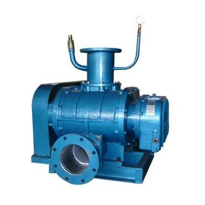 China High Viscosity Explosion Proof Roots Vacuum Pump Manufacturer 50mm~250mm for sale