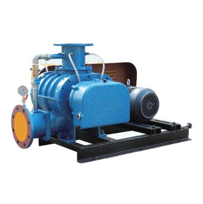 China XWR-125V Roots Vacuum Pump 125mm  Shandong, China Customized Color High Pressure for sale