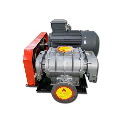 China 10000L/Hour Plant Roots Blower For Industrial Sewage Aeration for sale