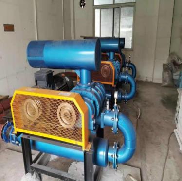 China 500LPH Plant Roots Blower For Aeration Tank  Shandong, China Customized Color High Pressure for sale