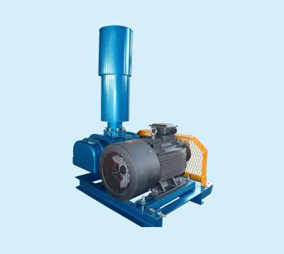 China 4000L/Hour Rotory Plant Blower for Cement Plant  Shandong, China Customized Color High Pressure for sale