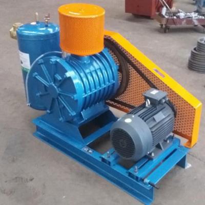 China Plant 500LPH 30S Rotary Blower For Incinerator  Shandong, China Customized Color High Pressure for sale