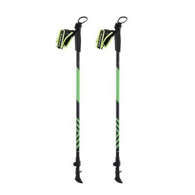 China PP+ EVA Best Seller Walking Poles 2 Sections Carbon Pole Adjustable Length nrodic Folding Walking Poles For Nordic Walking for sale