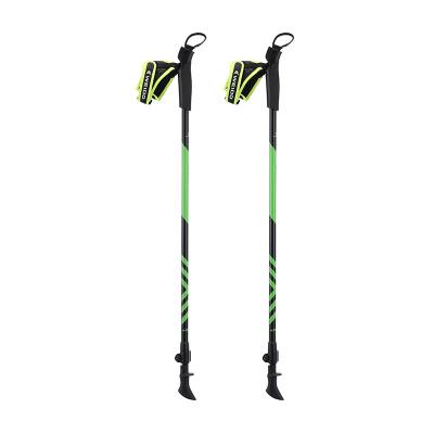 China PP+ EVA Best Seller Balance Poles Pole Adjustable Length Telescropic Walking Folding Poles for Nordic Walking for sale