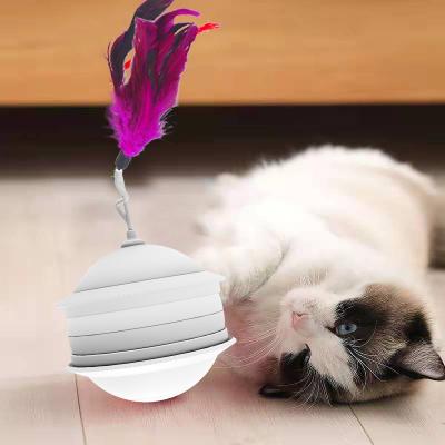 China Top Quality Viable Widely Used ABS CAT Ball Cat Pet Toys Interactive Pet Shops Toys Dog Pet Toys for sale