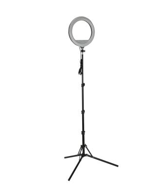 China PORTABLE Photo Studio Flashes Photographic Custom Tripod Lighting Camera Light Stand With Light for sale