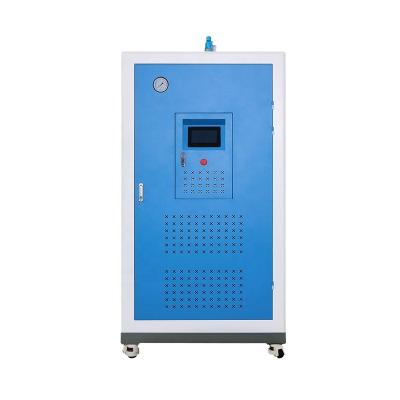 China Beiste 300kg VERTICAL Steam Generator for Home Heating Cooked Food Bath Industry for sale