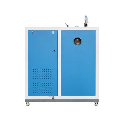 China Beiste 200kg 300kg 500kg VERTICAL heat recovery steam generator for autoclave chemical industry for sale