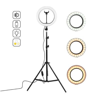 China Wholesale Video Beauty LED Ring Light SS-K-0165 Top Sellers Electric Ring Light Pro For 10 Inch Studio for sale