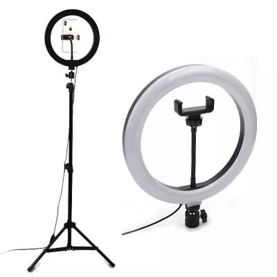 China High Quality Hot Led Light Makeup Photo Studio10 Inch Led Ring Lights SS-K-0165 for sale