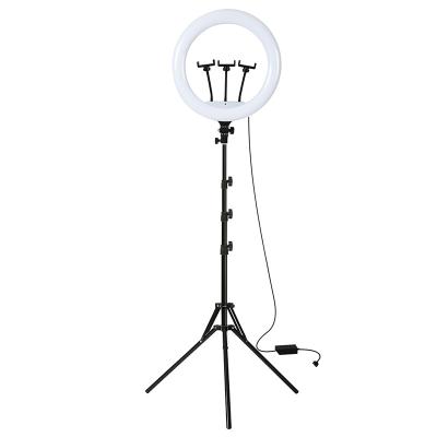 China Modern Style Photography Live LED Ring Lighting Phone Csse Ring Light With Stand 18 Inch Makeup SS-K-0163 for sale