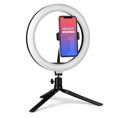 China Hot Selling Top LED Ring Light Tabletop Success 10 Inch Round Shape Ring Lights SS-K-0164 for sale