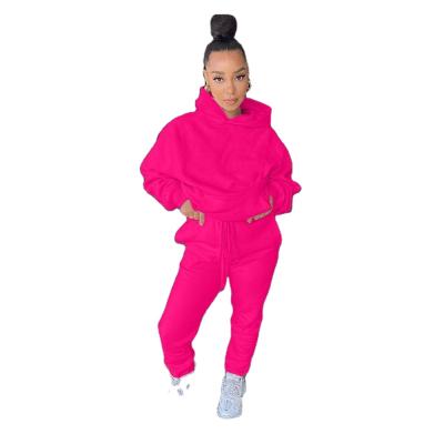 China Anti-pilling Sleeve Zipper Solid Color Slim Breathable Fashionable Sports Suit New Design Long Long for sale