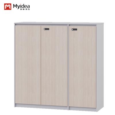 China Wooden Doors File Cabinet for Organized and Secure Storage in Office for sale