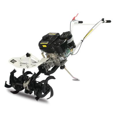 China 2022Hot Sale 7.5HP Gasoline Cultivator 170F Gasoline Engine Mini Tiller Farm Cultivator Machinery Repair Shops for sale