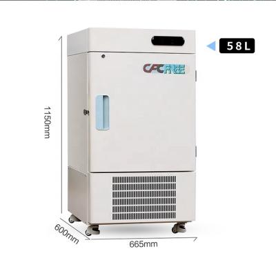 China Other CE Approval -86 Degree Lab Ultra Upright Deep Freezers Industrial Cryogenic Laboratory Freezer Machine Spiral Freezer for sale