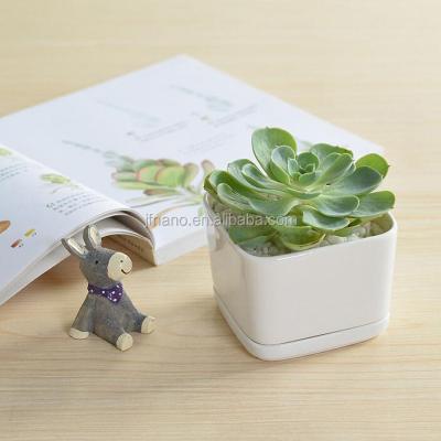 China Small Modern Rectangular White Ceramic Planter for sale