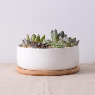 China Modern Ceramic Flower Pot with Tray White for Home, Garden Used with Green Flower/Plant Glazed Modern Lead Time 7-10 Days 16*16*6cm for sale