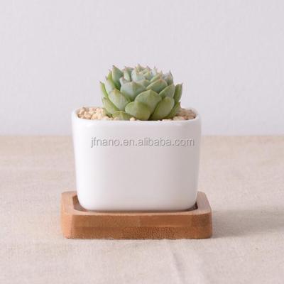 China Small white modern ceramic potted plants with bamboo tray for home, garden used with flower / green plant glazed lead time 7-10 days for sale