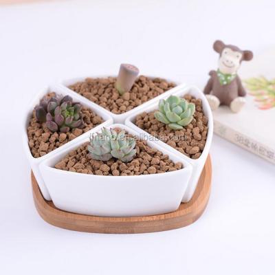 China Latest Modern Design White Glazed Ceramic Flower Pot Succulent Plants for sale