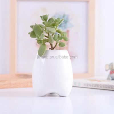 China Modern Small Flower Pots Ceramic Tooth Shape Indoor White Mini Plant Ceramic Pots For Succulent Plants for sale