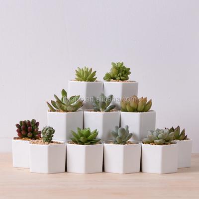 China Modern Small White Ceramic Hexagon Office Decor Planter Pot for sale