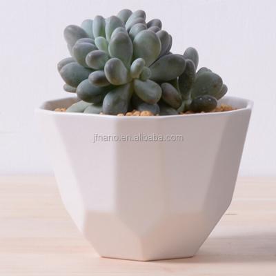 China 2016 New Design Eco-friendly Irregular Ceramic Succulent Planter for sale