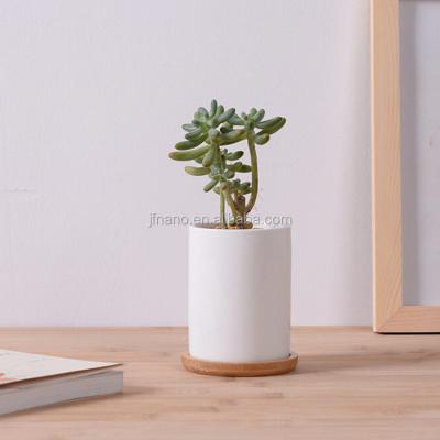 China Small Eco - Friendly Indoor White Glazed Ceramic Tea Cup Planter Pot With Bamboo Tray for sale