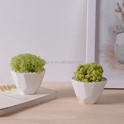 China Eco - Friendly Attractive White Glazed Irregular Ceramic Planter For Succulent Plants for sale