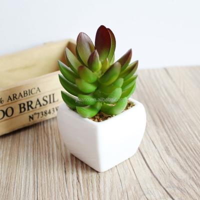 China New Design Plastic Mini Bonsai Realistic Plastic Succulent Artificial Plant for sale