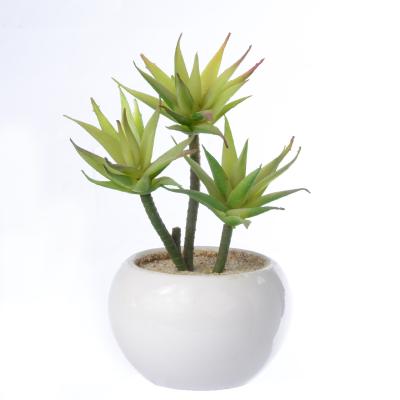 China Cheap Wholesale Plastic Small Succulent House Artificial Bonsai Plant for sale