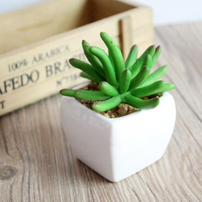 China Creative Realistic Plastic Succulent Planter Ceramic Glazed Plants Green Plants Potted Modern Artificial Succulent Gift for sale