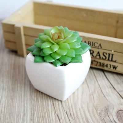 China Plastic home bonsai supplies lifelike plastic sempervivum tectorum artificial succulent plant for sale