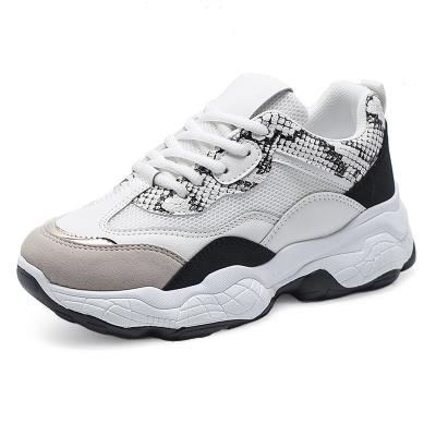 China Fashion Trend High Quality Women's Shoes Fashion Sneakers Comfortable Shoes Mesh Fahion Sports Sneakers for sale