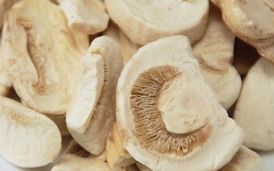 Chine Tranche fongueuse lyophilisée saine naturelle de lyophilisation d'agaricus de champignon de nourriture à vendre