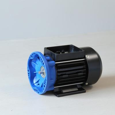 China Totally Enclosed Micro DC Motor 12V Special Motor For Urea Pump for sale