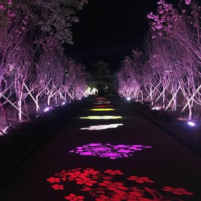 China Modern Free Customize Project Of Conghua Cherry Garden Outdoor Traditional Style Eye-Catching Water Light Show for sale