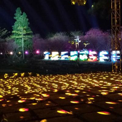 China Manufacturer Supply Project Of Conghua Cherry Garden Creative Electric Firework Modern Water Landscape Light Exhibition for sale