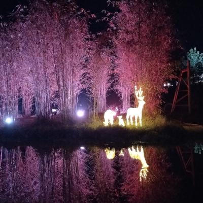 China Conghua Cherry Garden Contemporary Interactive Water Lazer Light Show Modern Top Grade Project with Chinese Style Landcape for sale